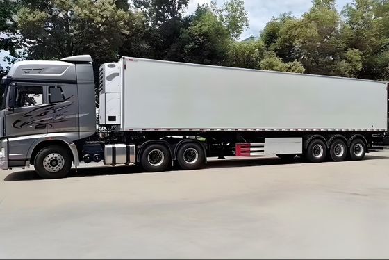 Personalizzazione Casella di raffreddamento a 3 assi inferiore Congelatore frigorifero Semirotter di Wosheng