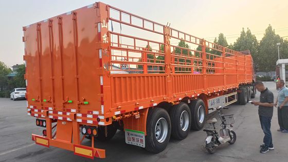 3 assi 40-80 tonnellate di acciaio Utility Parete laterale aperta di allevamento Vegetale Recinzione camion rimorchio