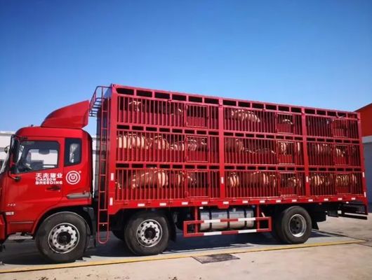 Camion rimorchio per il trasporto di bestiame 3 assi 20-40 tonnellate semirimorchio a recinzione alta
